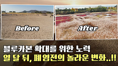 폐염전의 놀라운 변화